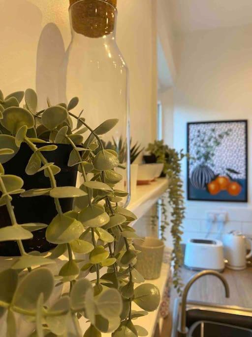 Garden Apartment, Central Harrogate With Parking ภายนอก รูปภาพ